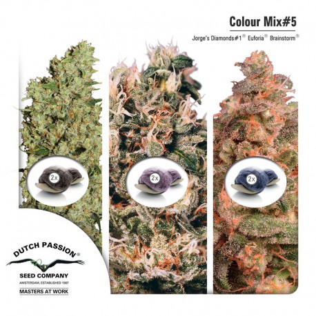 buy cannabis seeds Colour Mix #5