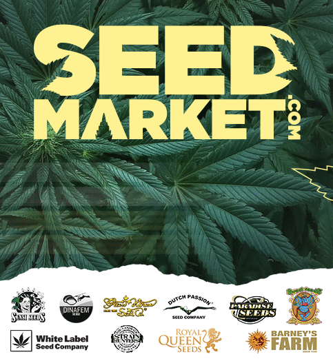 Seedmarket - Cannabis Seedstore