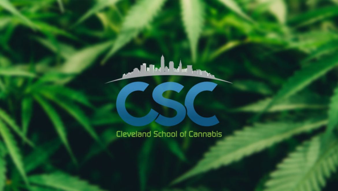 L’école cannabique de Cleveland lance des cursus approuvés par l’Etat
