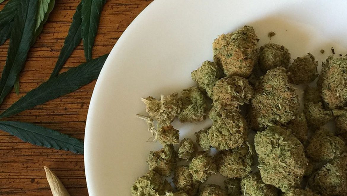 Paraguay: un projet de loi vise à légaliser la culture du cannabis médical