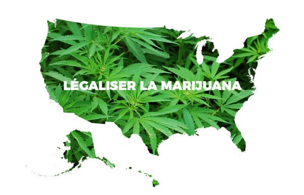 Sondage: La majorité des Américains préfère toujours légaliser la marijuana à l’échelle nationale