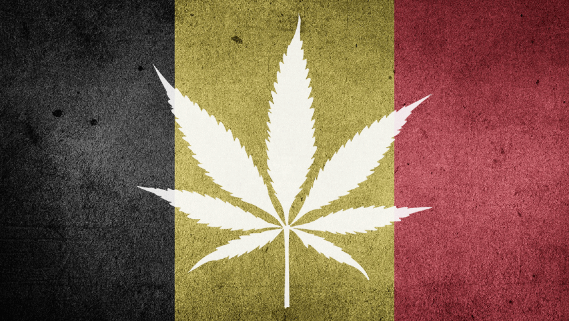 Belgique : Le plat pays s’apprête à légaliser le cannabis médical