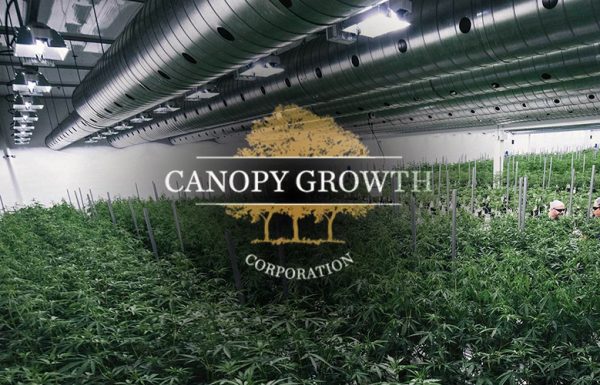Pour Canopy Growth, la légalisation du cannabis entraînera moins de prescriptions d’opioïdes