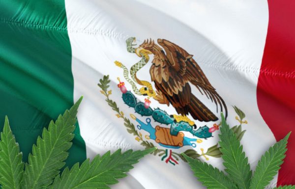 Le Mexique légalisera les produits à base de cannabis l’année prochaine.