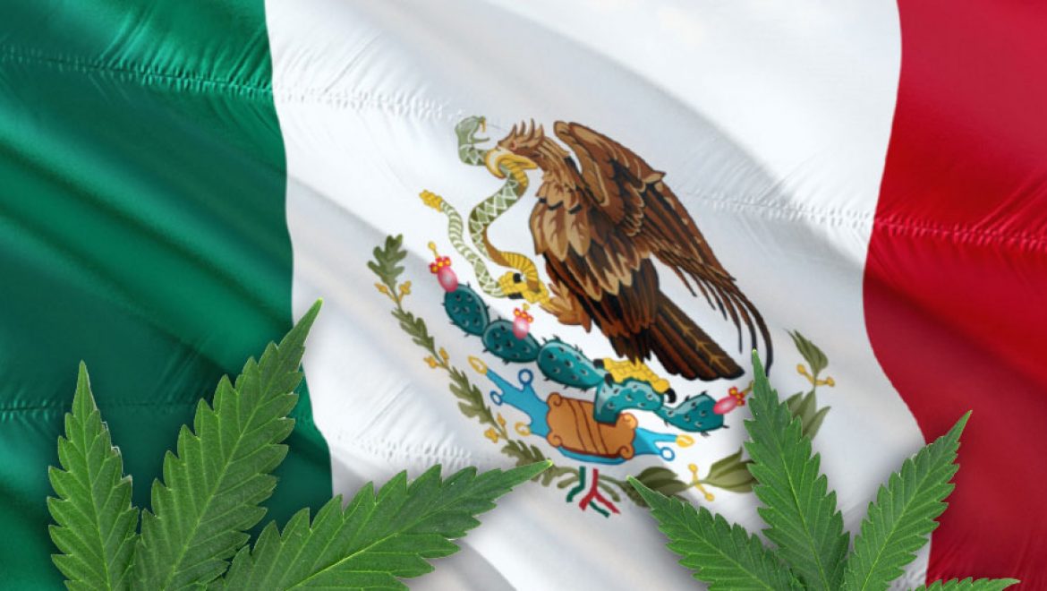 Le Mexique légalisera les produits à base de cannabis l’année prochaine.