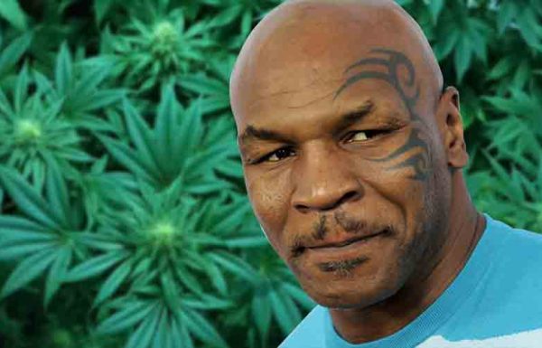 Mike Tyson va créer un resort du cannabis en Californie