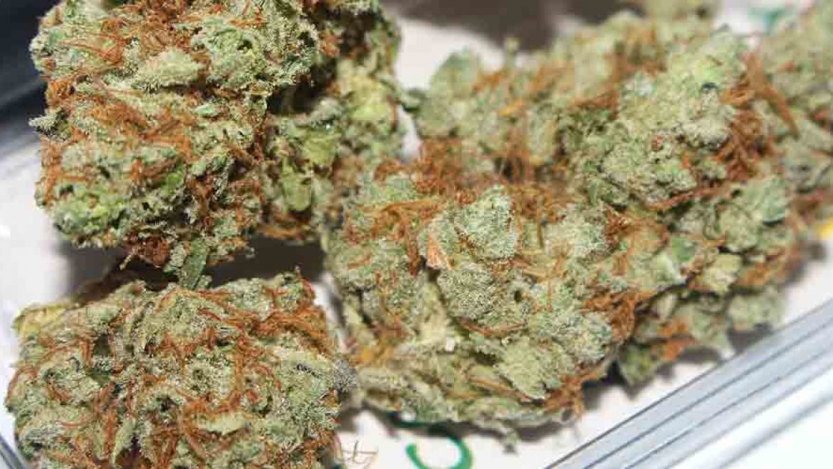 Rapport: Au Canada, la consommation de cannabis devrait augmenter d’ici 2019