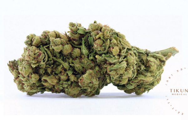 Étude: 96% des patients atteints de cancer sont soulagés par le cannabis médical