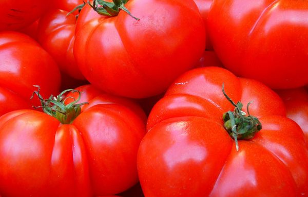 Un producteur de tomates canadien migre ses cultures vers le cannabis