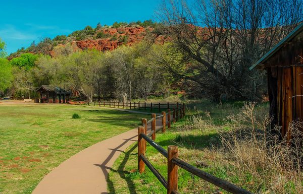 Le comité de l’agriculture de l’Arizona approuve le projet de loi sur le chanvre industriel