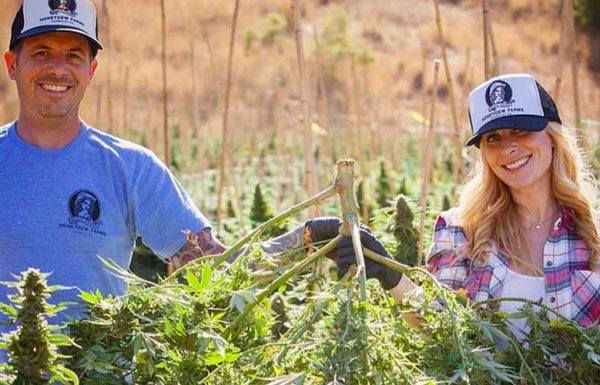Californië: minister van Landbouw beperkt de teeltgebieden voor cannabis.