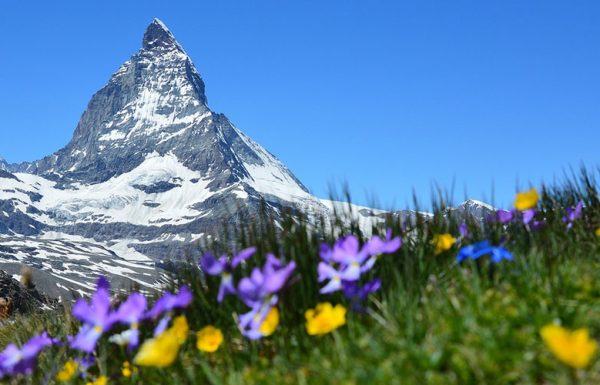 Suisse: le marché du cannabis contenant 1% de THC gagne en popularité