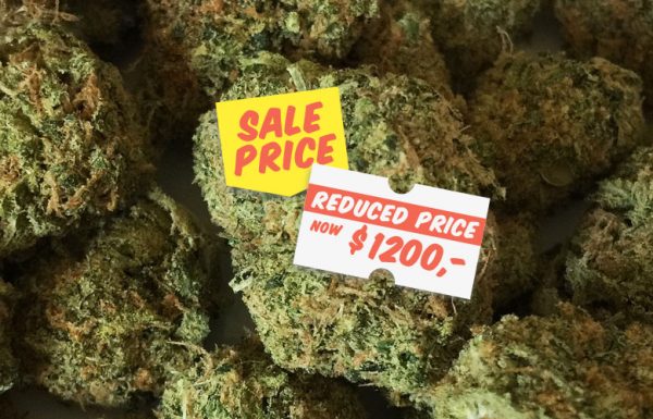 Au Colorado, le prix du cannabis a baissé de 25%