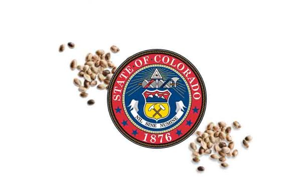 Colorado: premier Etat américain à certifier des graines de chanvre