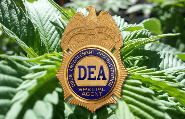 La DEA vient-elle d’interdire le CBD ?