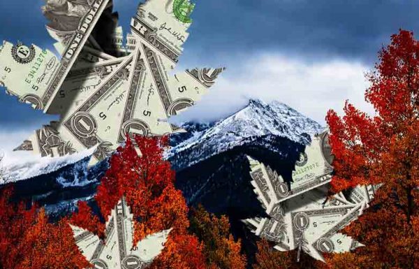 Les ventes de cannabis au Colorado dépassent le milliard en 2016