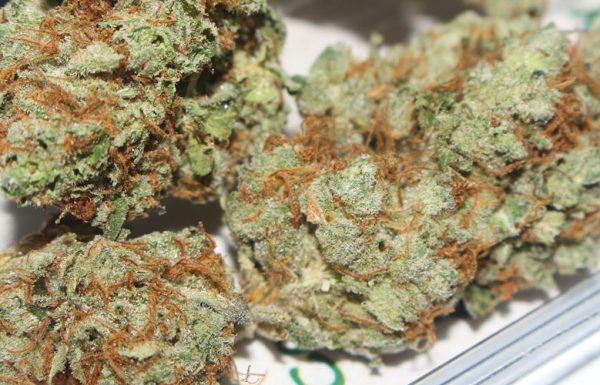 Étude: Fumer du cannabis réduit votre risque d’accident vasculaire cérébral