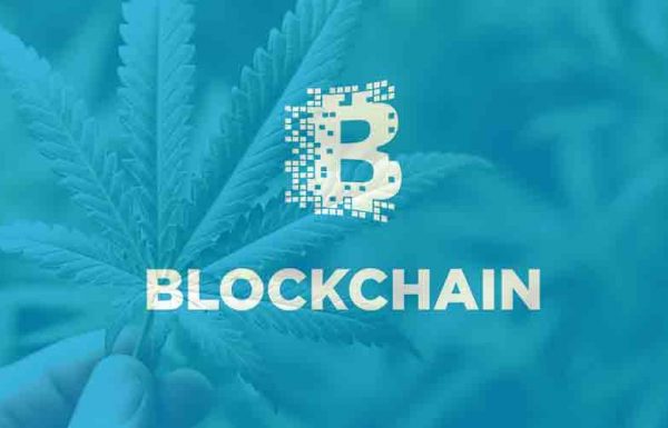 IBM présente la technologie Blockchain en Colombie-Britannique pour le suivi légal du cannabis