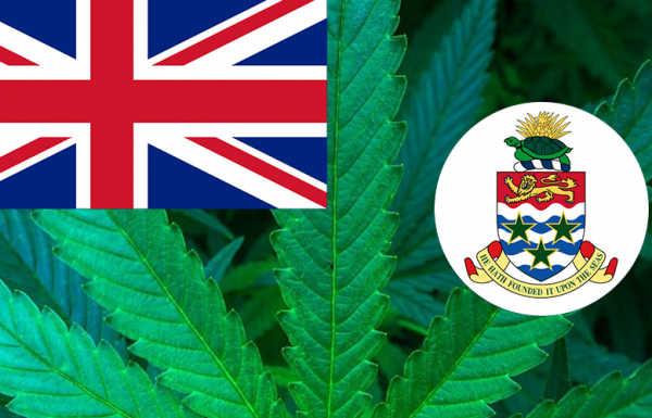 Les Iles Caïmans autorisent l’usage médical du cannabis