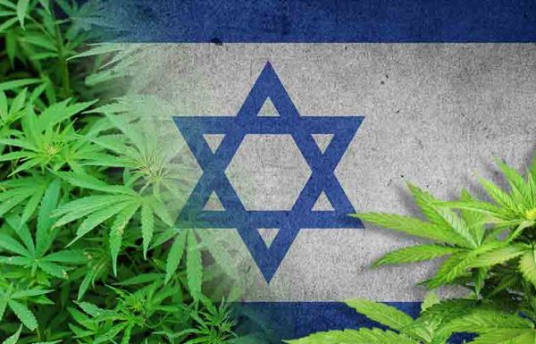 Israël prévoit d’exporter du cannabis médical