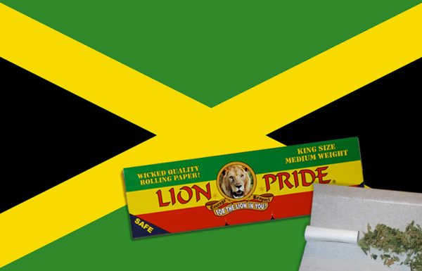 La Jamaïque prépare son tourisme cannabique