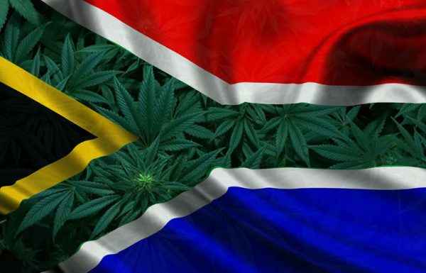 L’Afrique du Sud émet un projet de règlement pour le programme de cannabis médical