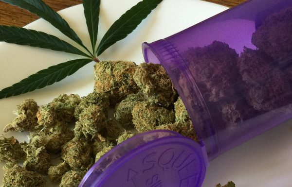 Les députés pressent le gouvernement de légaliser le cannabis médical au Royaume Uni