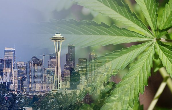 Seattle va effacer les anciennes condamnations liées au cannabis