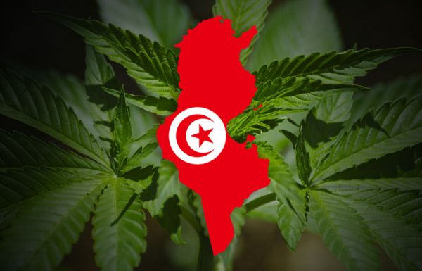Tunisie: le pays passe une étape considérable sur  la réforme du droit des drogues.