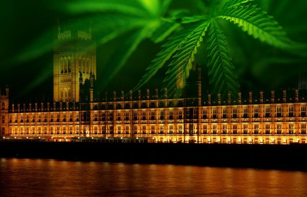Un député britannique appelle à la désobéissance civile en faveur du cannabis