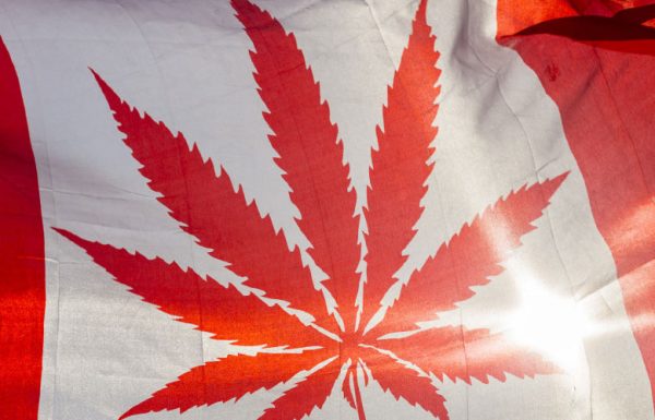 Canada: le plan de légalisation du cannabis dévoilé