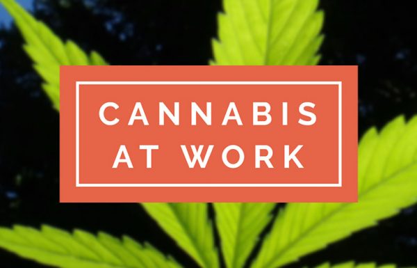 Canada: lancement du Pôle Emploi du cannabis.