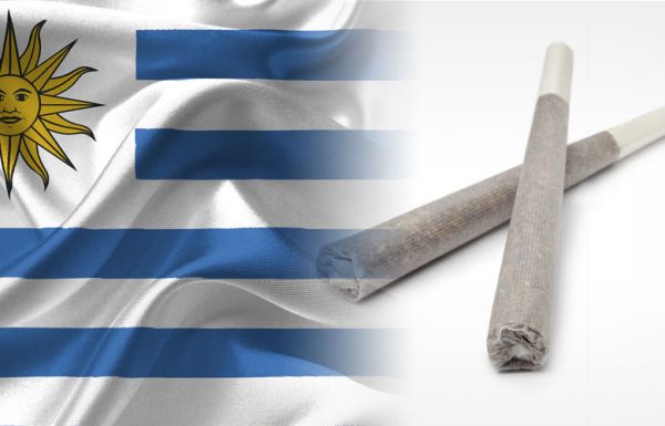 Uruguay: nouvelle mesure concernant la consommation récréative du cannabis chez les adultes