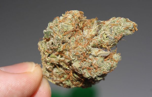 45% des Américains ont essayé la marijuana