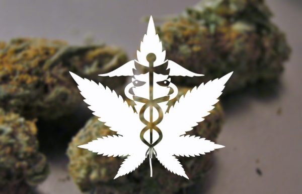 Etude : un nouvel exemple de patients qui remplacent les médicaments par le cannabis thérapeutique