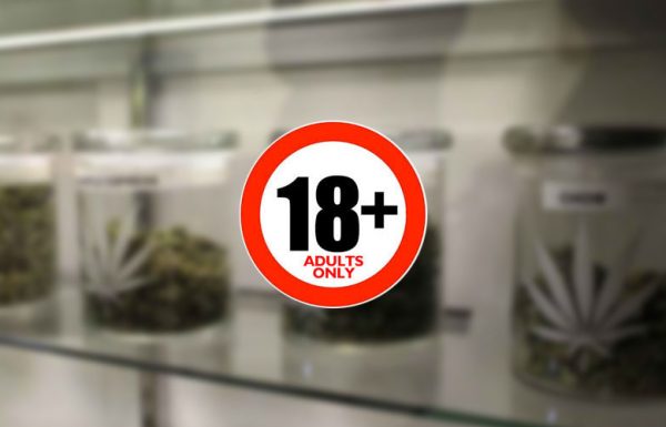 Canada: à quoi pourrait ressembler l’industrie légale du cannabis