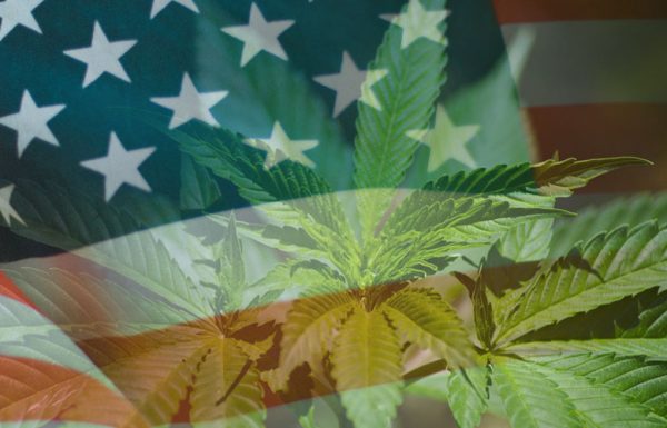 Légalisation du cannabis aux Etats-Unis : jusqu’ici, tout va bien