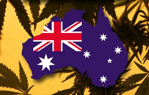 Les Australiens soutiennent la légalisation du cannabis