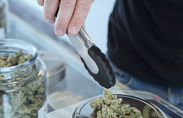 Nevada: les ventes de cannabis atteignent les 3 millions de dollars en 4 jours