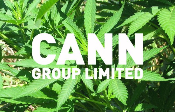 Australie: le pays délivre sa première licence de culture de cannabis