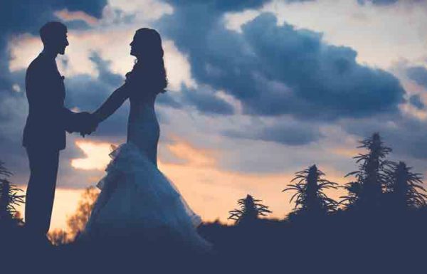 Le business des mariages au cannabis