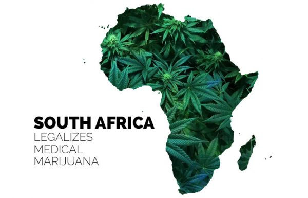 L’Afrique du Sud légalise le cannabis médical
