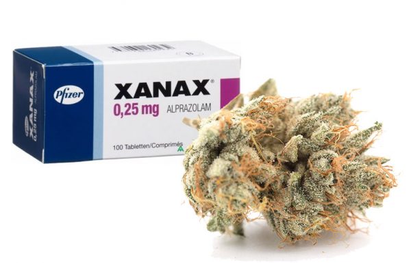 Canada: “bye bye Xanax, bonjour Canna”, le cannabis remplace les formules médicamenteuses