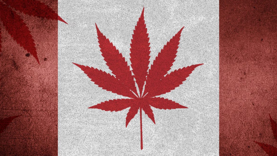 Member Blog: How Cannabis Legalization In Minnesota Can Further Equality -
